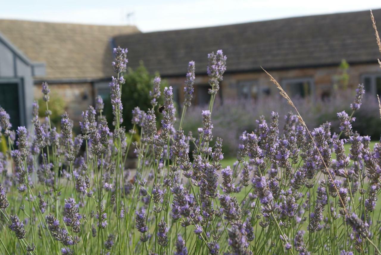 Villa Harrogate Barns Exterior foto